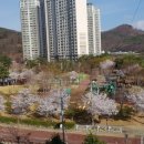 매천화성파크드림 삼거리 이미지