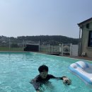 안면읍사무소 | [안면도애견동반여행] 슈가몽펜션 수영장&amp;바베큐, 백사장어촌계수산시장 회 포장