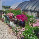 시후농장 이미지