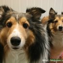 애지중지 이미지