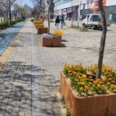 꽃향기가득한 이미지