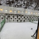 누렁이도 찰스로 애견샵 | 서울근교 애견동반 포천여행 코스 추천 어서오시개냥 숙박후기