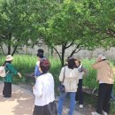 용답동 토속공원 주민활력소 이미지