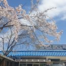가야산오리식당 네이버블로그
