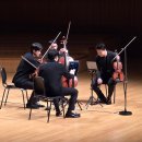 타카치 스트링 콰르텟 내한공연 | 노부스 콰르텟 NOVUS QUARTET 브람스 현악 사중주 월드 스트링 콰르텟 시리즈(1) 250308