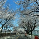 삼문강변로 이미지