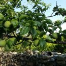 모례마을회관 이미지