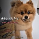 블루베리 | 트러스티푸드 살라미칩 연어&amp;블루베리 후기 노령견도 잘 먹는 강아지간식 추천