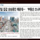 엘본 더 스테이 이미지