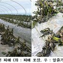 동해기술 네이버블로그