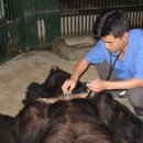 우리동물병원 이미지