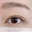 운정역 | [아르] 운정역 속눈썹 재방문 후기/ 운정역 인생 속눈썹 추천