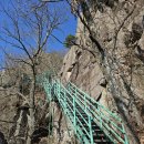 산수곡마을회관 | 선물같은 산행 기장 "달음산" ⛰️