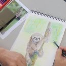 색연필화A 이미지