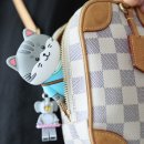 스마트 | 차키케이스 추천｜바이어웨이 고양이 스마트키커버 후기