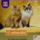 서울온누리약국 이미지