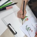 꽃그림 색연필화(보타니컬 아트) 이미지