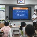 웰펫동물병원 네이버블로그