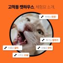제라펫 | 고양이 강아지 치약 추천 I 아밀리 효소 펫 치약 솔직후기 (치석 사진 있음)