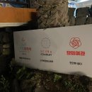 제주 장미여관 이미지