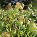 햇살슈퍼 이미지