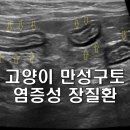 위례중앙동물의료센터 이미지