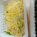 착한낙지안양점 이미지