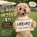 양주 애견운동장 대여 추천｜송추 써니네 프라이빗 운동장 후기