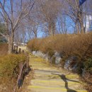 중앙공원(상) 이미지