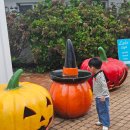 제주아이 이미지