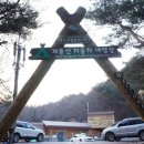 계룡산동학사자동차야영장 이미지