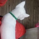 예뻐지냥 이미지