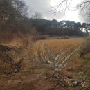 서해2농장 이미지