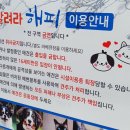 달려라 해피 이미지