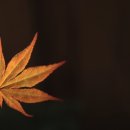 브라이트라이트 이미지