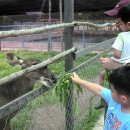 아란 농장 이미지