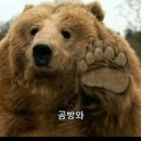 도치피자 강변 네이버블로그