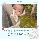 시와 노래 그리고 마을 영월드 | [25.09.25.] 찰떡일기 (34) :: D+141~147 여의도-송도-문화센터│깜시의 수난시대│열심히 세상구경...