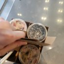 본토박이 이미지