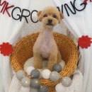 엠케이그루밍샵 이미지