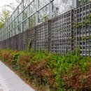 고강동 11-60 이미지