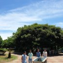 모구리야영장(일출봉영지) 이미지