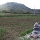 사곡농장 이미지