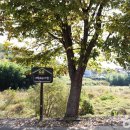 대평면 자전거도로 이미지