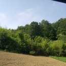 부용공인중개사사무소 이미지