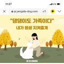 오남개다방