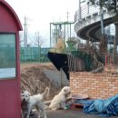 강서가스충전소 이미지