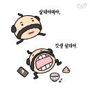 바라봄동물병원 | 9월[1주차] : 돌아온 피자팔이소녀