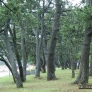 금갑마을 이미지