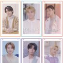 사랑비디오 이미지